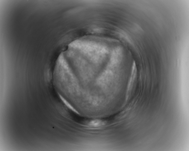 X0000088440173200706051254