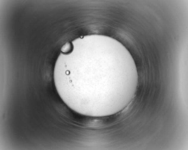X0000088440174200706051254