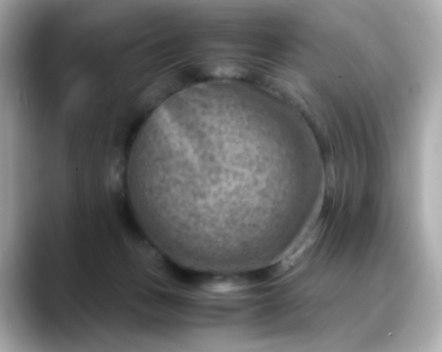 X0000088440175200706051254