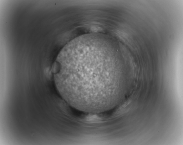X0000088440177200706051254