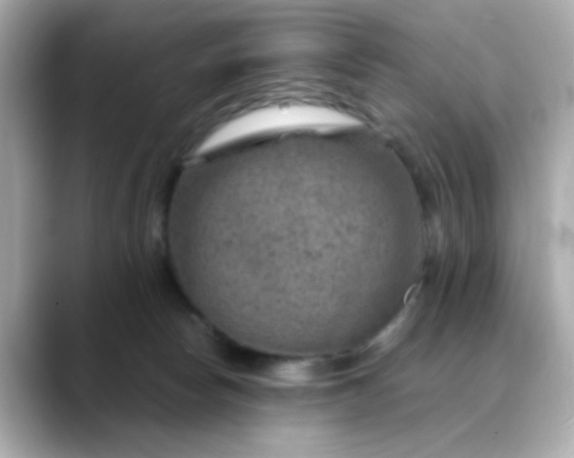 X0000088440178200706051254