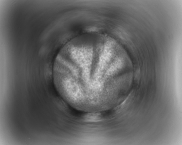 X0000088440179200706051254