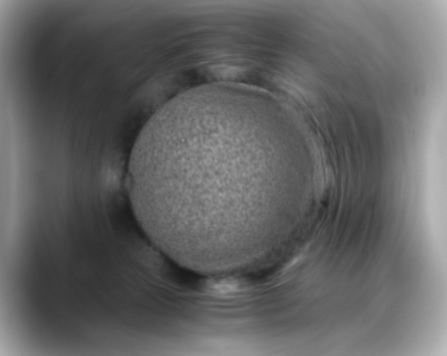X0000088440181200706051255