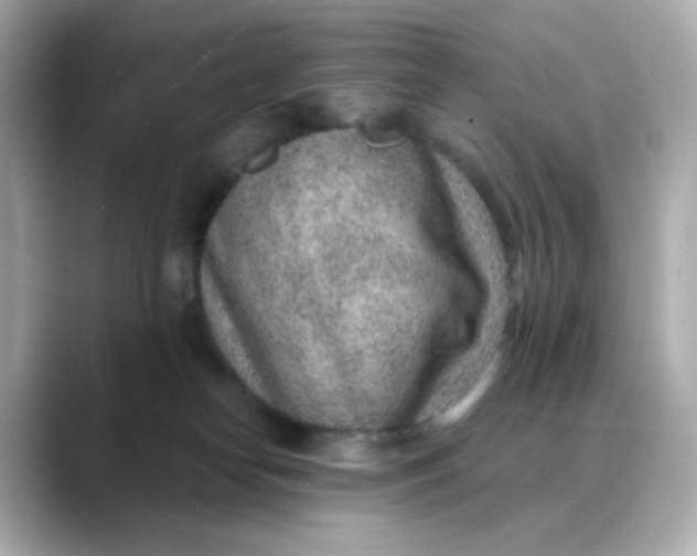 X0000088440182200706051255