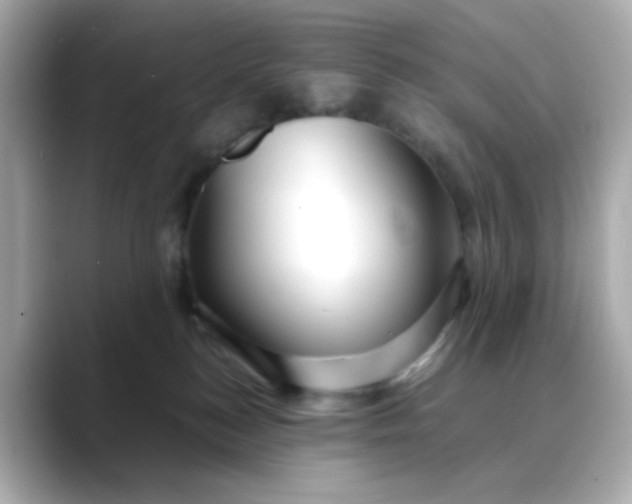 X0000088440184200706051255