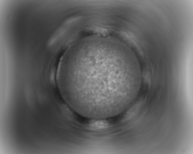 X0000088440185200706051255