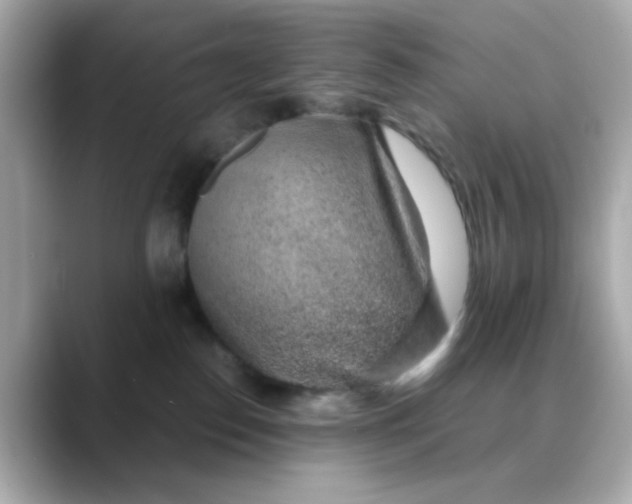 X0000088440186200706051255