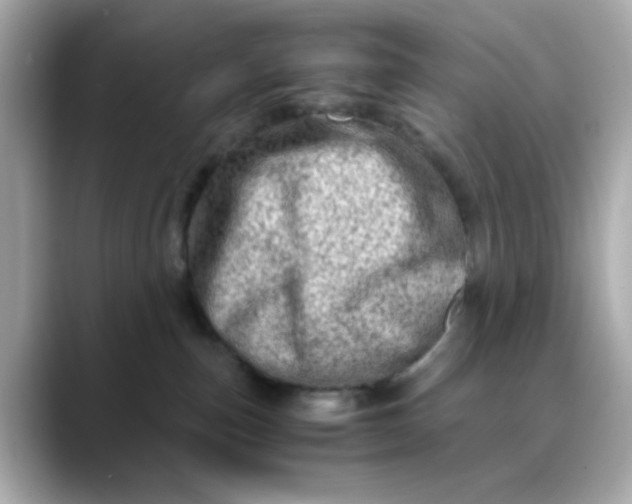 X0000088440187200706051255
