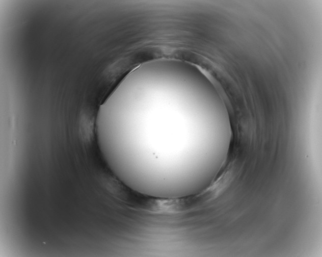 X0000088440188200706051255