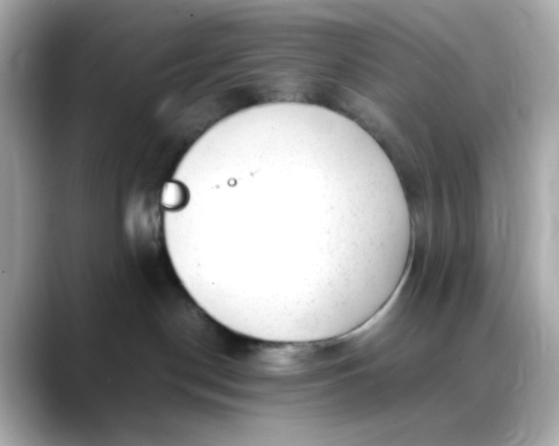 X0000088440190200706051255