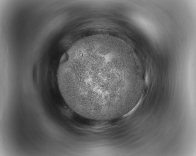 X0000088440191200706051255