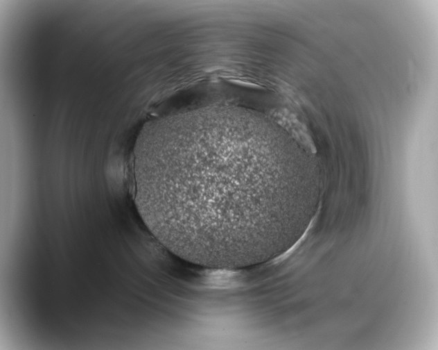 X0000088440192200706051255