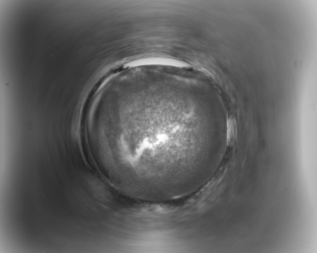 X0000088440195200706051254