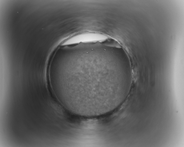 X0000088440196200706051254