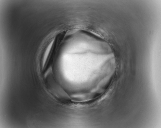 X0000088440197200706051254