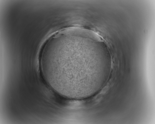 X0000088440198200706051254