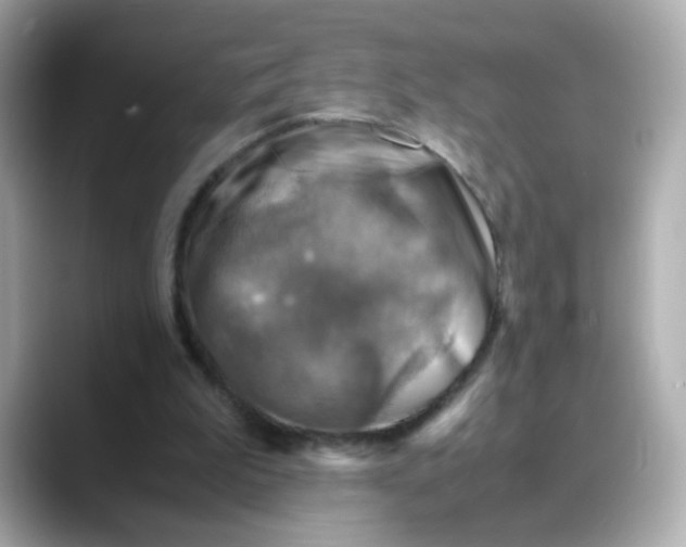 X0000088440199200706051254