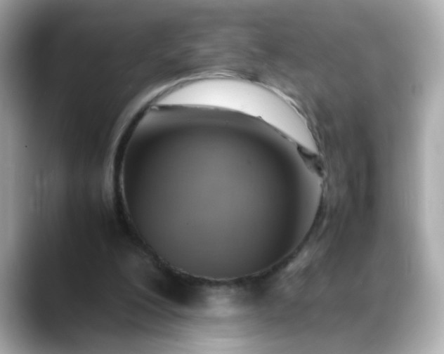 X0000088440200200706051254