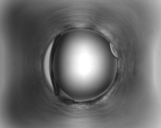 X0000088440201200706051254