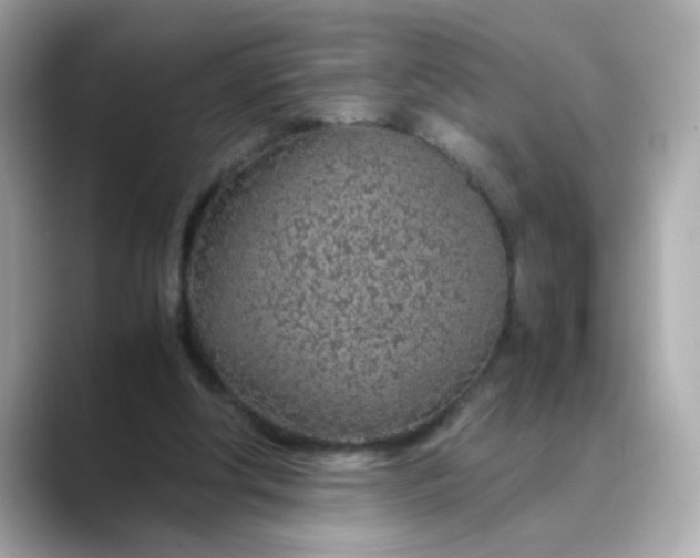 X0000088440202200706051254
