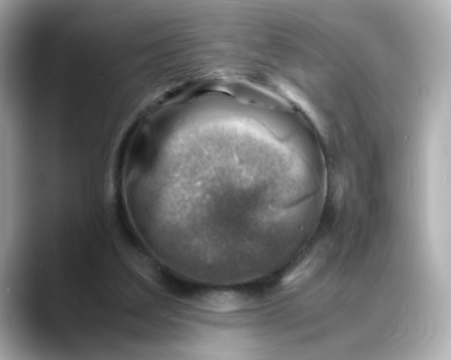 X0000088440203200706051254