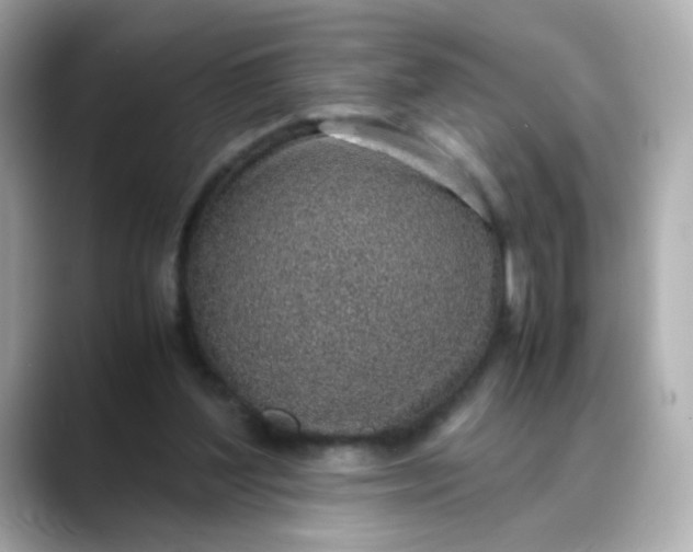 X0000088440204200706051254