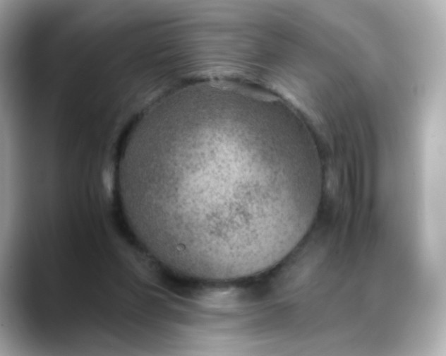 X0000088440206200706051254