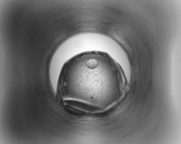 X0000088440207200706051254