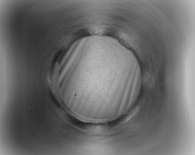 X0000088440209200706051254