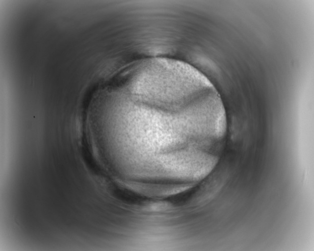 X0000088440210200706051254