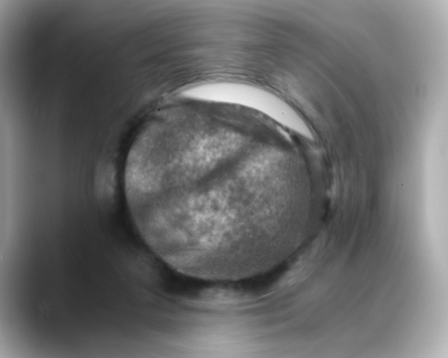 X0000088440211200706051254