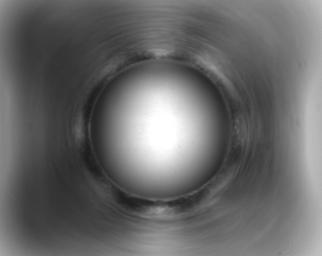 X0000088440212200706051254