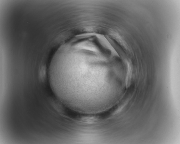 X0000088440213200706051254