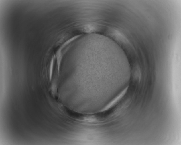X0000088440214200706051254