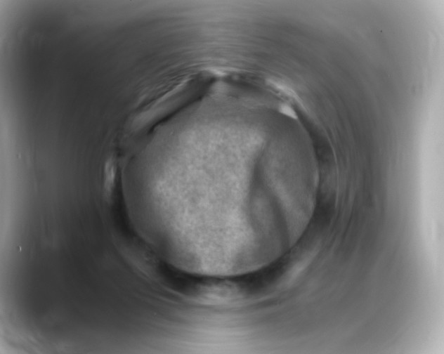 X0000088440215200706051254