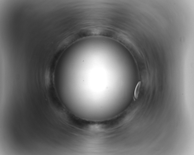 X0000088440216200706051254