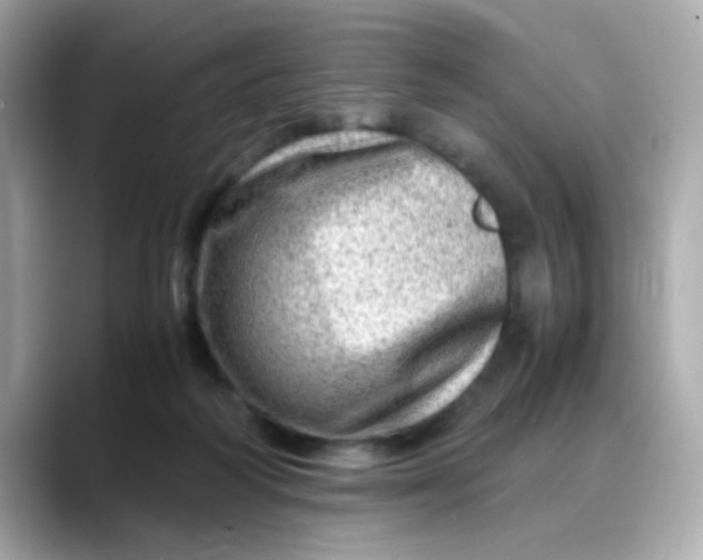X0000088440218200706051254