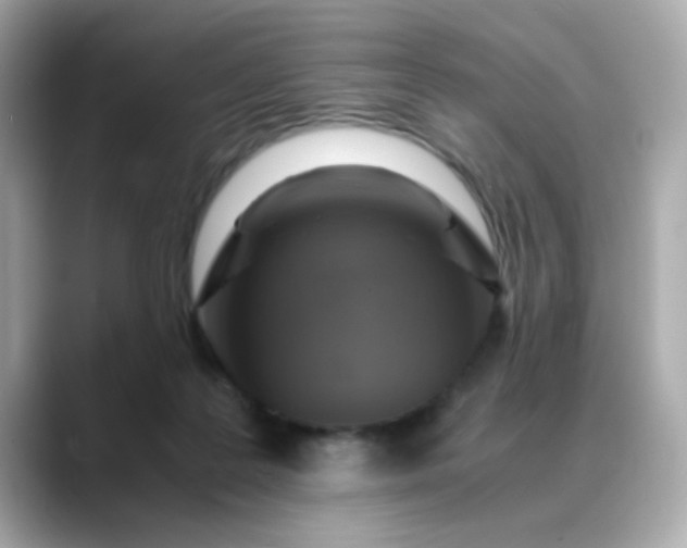 X0000088440219200706051254