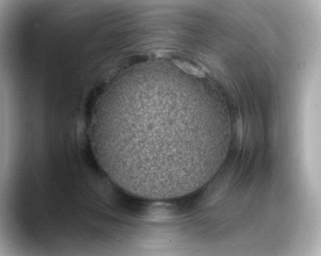 X0000088440222200706051254
