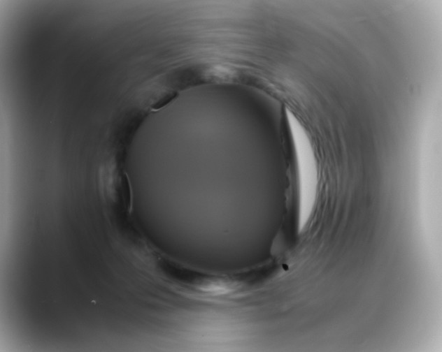 X0000088440223200706051254