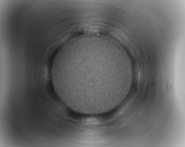X0000088440224200706051254