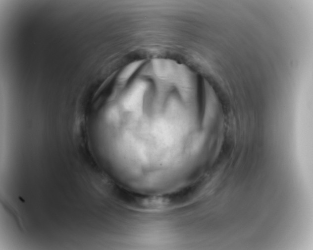 X0000088440225200706051254
