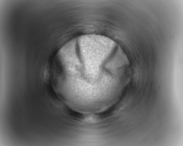 X0000088440226200706051254