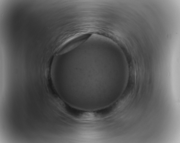 X0000088440227200706051254