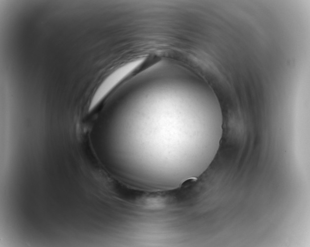X0000088440228200706051254