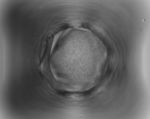 X0000088440229200706051254
