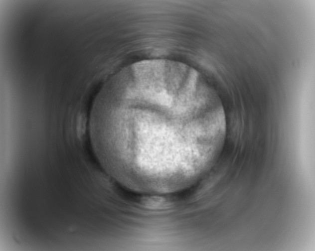 X0000088440230200706051254