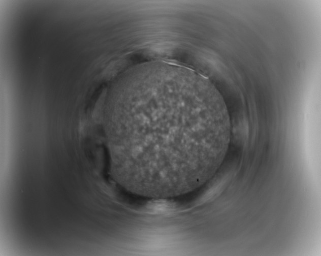 X0000088440231200706051254