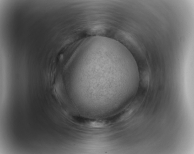 X0000088440232200706051254