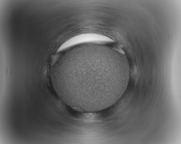 X0000088440233200706051254